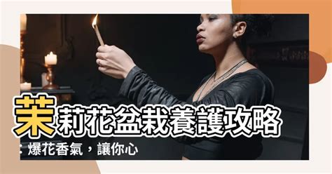 長舌之言不可聽感情